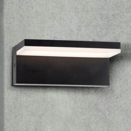 Вуличний світлодіодний настінний світильник TESA LED/10W/230V IP54 чорний