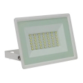 Вуличний світлодіодний прожектор NOCTIS LUX 3 LED/30W/230V 3000K IP65 білий