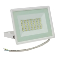 Вуличний світлодіодний прожектор NOCTIS LUX 3 LED/30W/230V 4000K IP65 білий