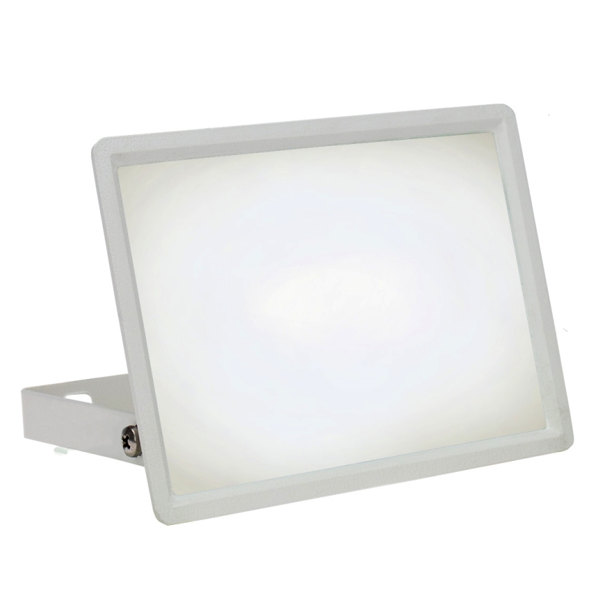 Вуличний світлодіодний прожектор NOCTIS LUX 3 LED/30W/230V 4000K IP65 білий