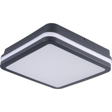 Вуличний світлодіодний стельовий світильник BENO LED/12/18W/230V 3000/3500/4000K IP65 антрацит квадратний