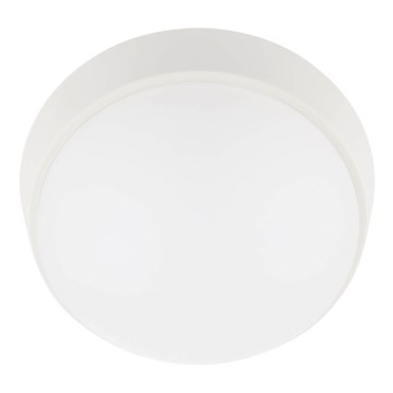 Вуличний світлодіодний стельовий світильник LED/12W/230V 3000/4000/6500K IP65 білий