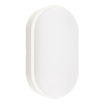 Вуличний світлодіодний стельовий світильник LED/12W/230V 3000/4000/6500K IP65 білий