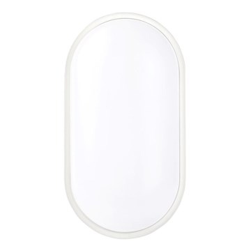 Вуличний світлодіодний стельовий світильник LED/20W/230V IP65 білий
