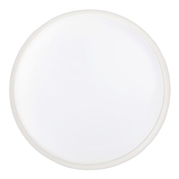 Вуличний світлодіодний стельовий світильник LED/20W/230V IP65