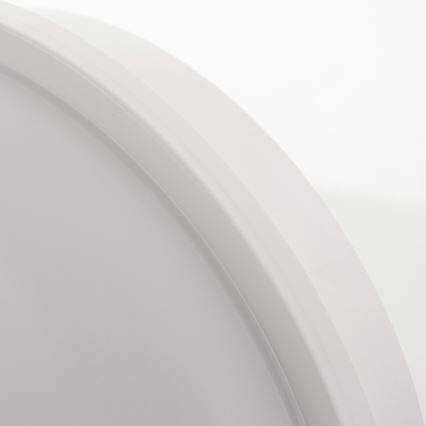 Вуличний світлодіодний стельовий світильник LED/20W/230V IP65