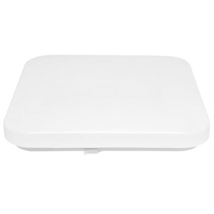Вуличний світлодіодний стельовий світильник LUKA LED/42W/230V IP44