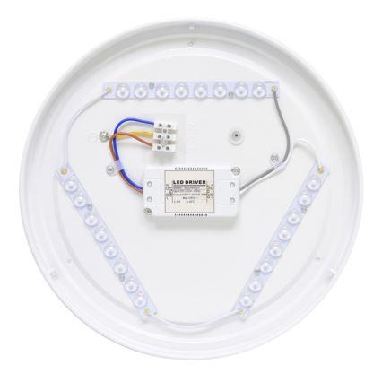Вуличний світлодіодний стельовий світильник NELA LED/20W/230V IP44