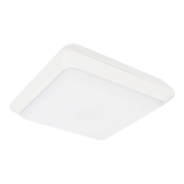 Вуличний світлодіодний стельовий світильник TIPO LED/24W/230V IP66