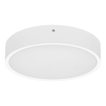 Вуличний світлодіодний стельовий світильник з датчиком MARTIN LED/25W/230V 3000/4000K діаметр 35 см IP65 білий