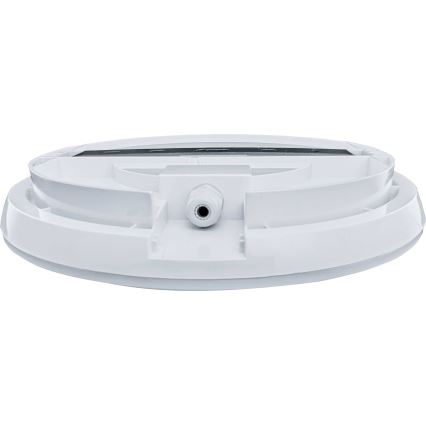 Вуличний світлодіодний стельовий світильник з датчиком RENO LED/16W/230V IP66 білий