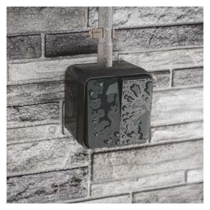 Выключатель для дома 2-кнопочный переключающий № 6+6 IP55 антрацит