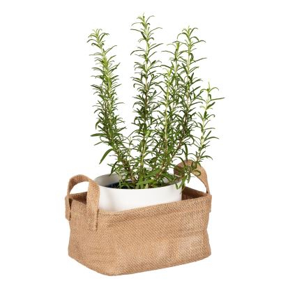 WENKO 64470100 - Кошик JUNA 20x15 см коричневий