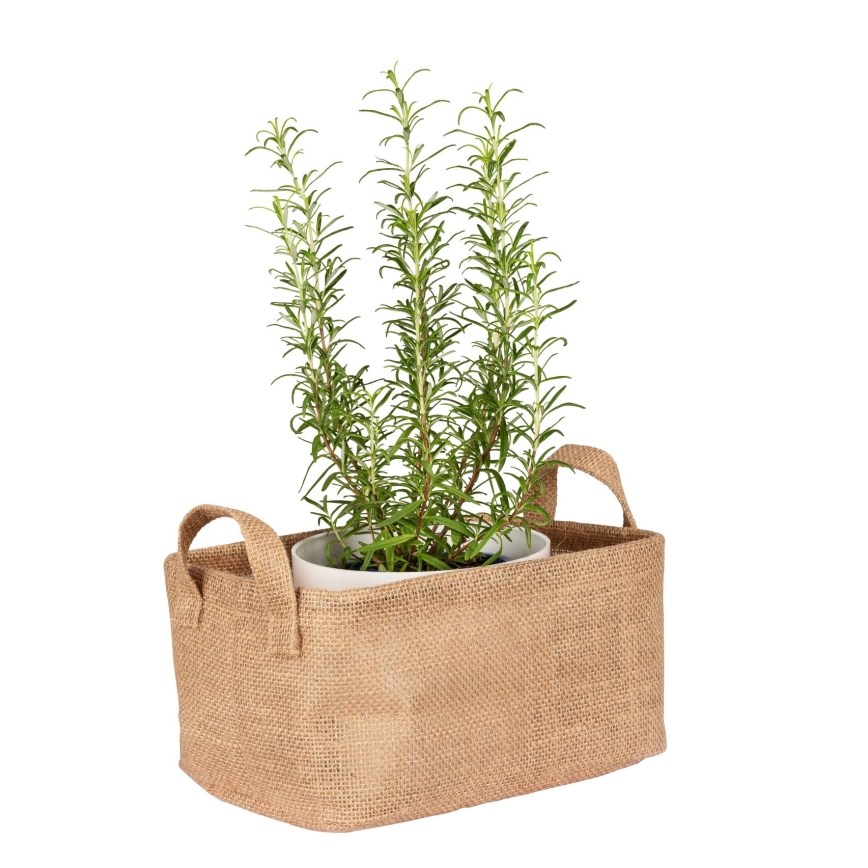 WENKO 64471100 - Кошик JUNA 24x17 см, коричневий