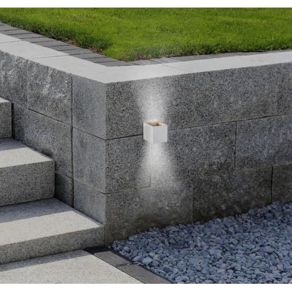 Westinghouse 61150 - Вуличний світлодіодний настінний світильник FREYA 2xLED/4,5W/230V IP44 білий