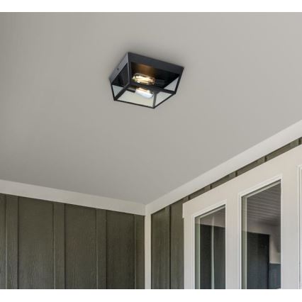 Westinghouse 61219 - Зовнішній стельовий світильник PETERSON 2xE27/40W/230V IP44