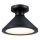 Westinghouse 61238 - Уличный потолочный светильник WALTER 1xE27/60W/230V IP44