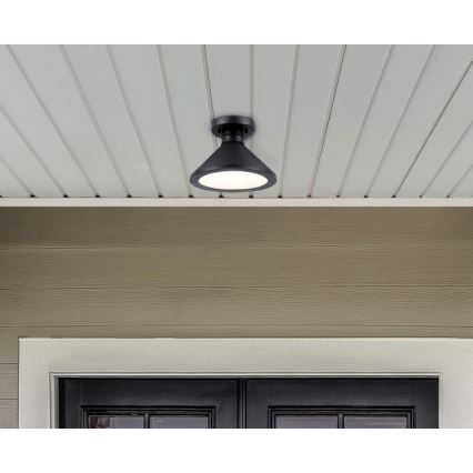 Westinghouse 61238 - Уличный потолочный светильник WALTER 1xE27/60W/230V IP44
