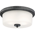Westinghouse 6325140 - Потолочный светильник CEDRIC 2×E27/40 Вт/230 В, диаметр 33 см
