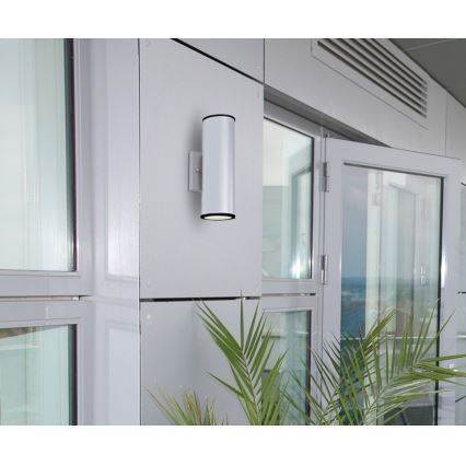 Westinghouse 65793 - Светодиодный уличный светильник с регулированием яркости MARIUS 2xLED/8W/230V IP44