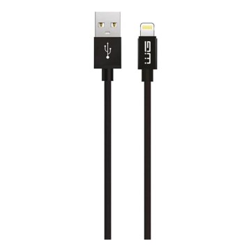 Winner Group - USB-кабель Lightning / USB-A 1 м черный