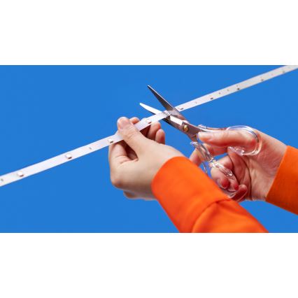 WiZ - LED RGBW стрічка з регулюванням яскравості 4m LED/6,5/230V 2700-6500K Wi-Fi