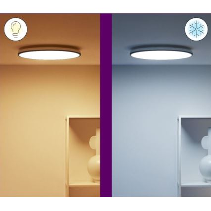 WiZ - Стельовий LED RGBW світильник з регулюванням яскравості RUNE LED/21W/230V 2700-6500K Wi-Fi чорний