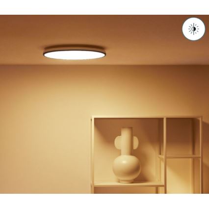 WiZ - Стельовий LED RGBW світильник з регулюванням яскравості RUNE LED/21W/230V 2700-6500K Wi-Fi чорний