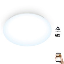 WiZ - Стельовий світлодіодний світильник з регулюванням яскравості SUPERSLIM LED/17W/230V 4000K Wi-Fi