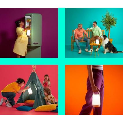 WiZ - Светодиодная переносная RGBW-лампа с регулированием яркости MOBILE LED/13,5W/5V 2200-6500K Wi-Fi