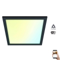 WiZ - Светодиодный потолочный светильник с регулированием яркости SUPERSLIM LED/12W/230V 2700-6500K Wi-Fi черный
