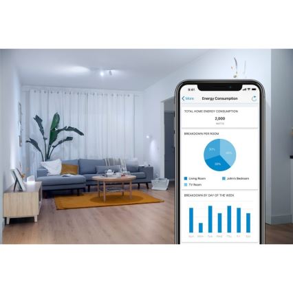WiZ - Умная розетка F 2300W + ваттметр Wi-Fi SCHUKO