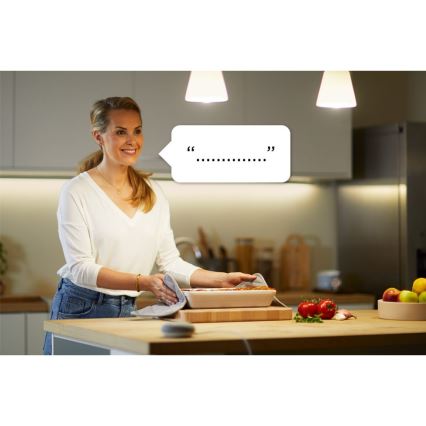 WiZ - Умная розетка F 2300W + ваттметр Wi-Fi SCHUKO