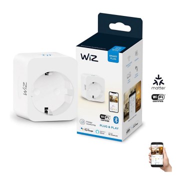 WiZ - Умная розетка F 2300W + ваттметр Wi-Fi SCHUKO