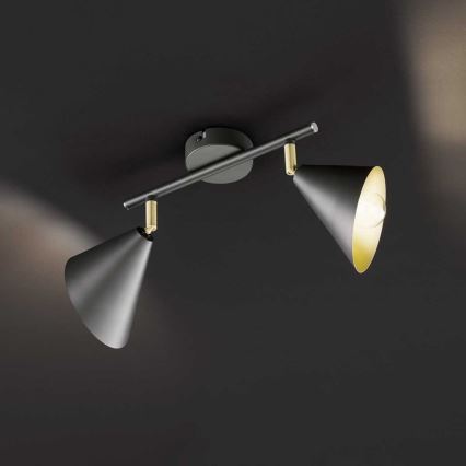 Wofi 10158 - Точковий світильник GLORIA 2xE14/28W/230V