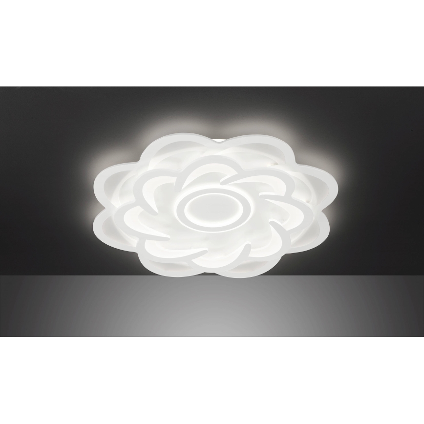 Wofi 11213 - Светодиодный потолочный светильник с регулированием яркости ICA LED/52W/230V 2700-5500K + дистанционное управление