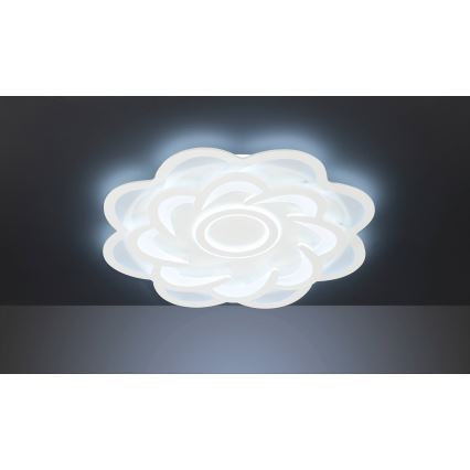Wofi 11213 - Светодиодный потолочный светильник с регулированием яркости ICA LED/52W/230V 2700-5500K + дистанционное управление