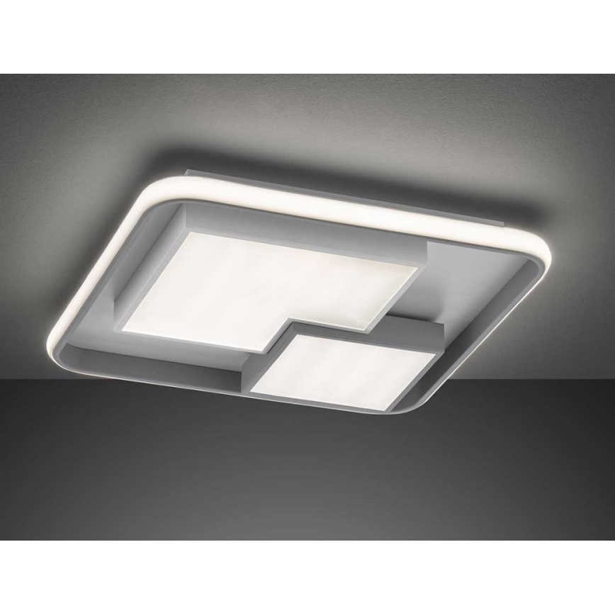 Wofi 11610 - Светодиодный потолочный светильник с регулированием яркости FELA LED/40,5W/230V 3000K