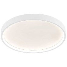 Wofi 12055 - Светодиодный потолочный светильник DUBAI LED/27,5W/230V белый
