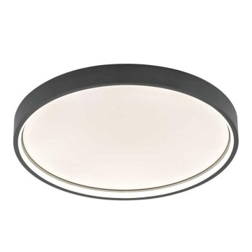 Wofi 12056 - Светодиодный потолочный светильник DUBAI LED/27,5W/230V антрацит