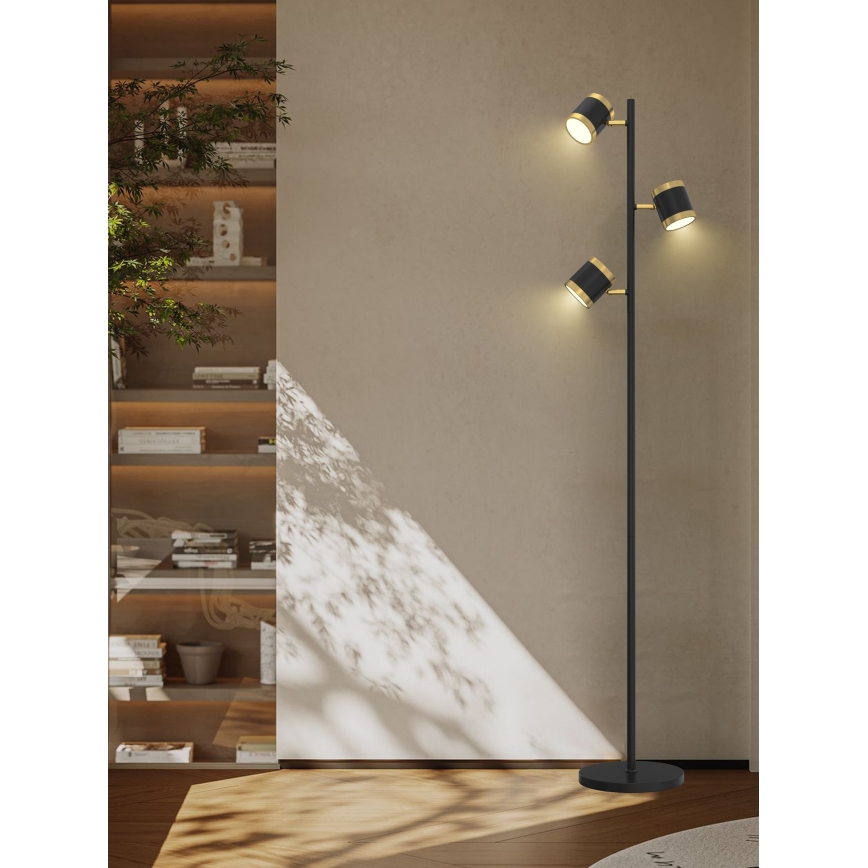 Wofi 3003-304S - Светодиодный торшер с регулированием яркости TOULOUSE LED/21W/230V черный/золотистый