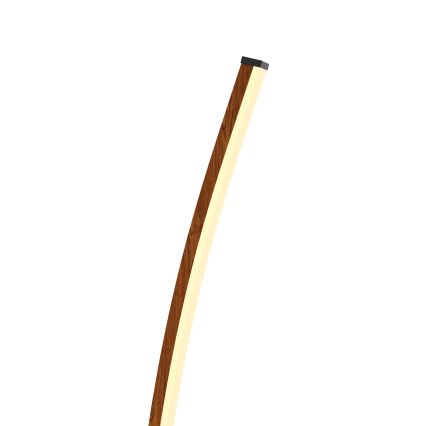 Wofi 3020-106 - LED Торшер з регулюванням яскравості BOLOGNA LED/21W/230V