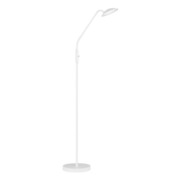 Wofi 3446.01.06.7000 - LED Торшер з регулюванням яскравості ORTA LED/12W/230V