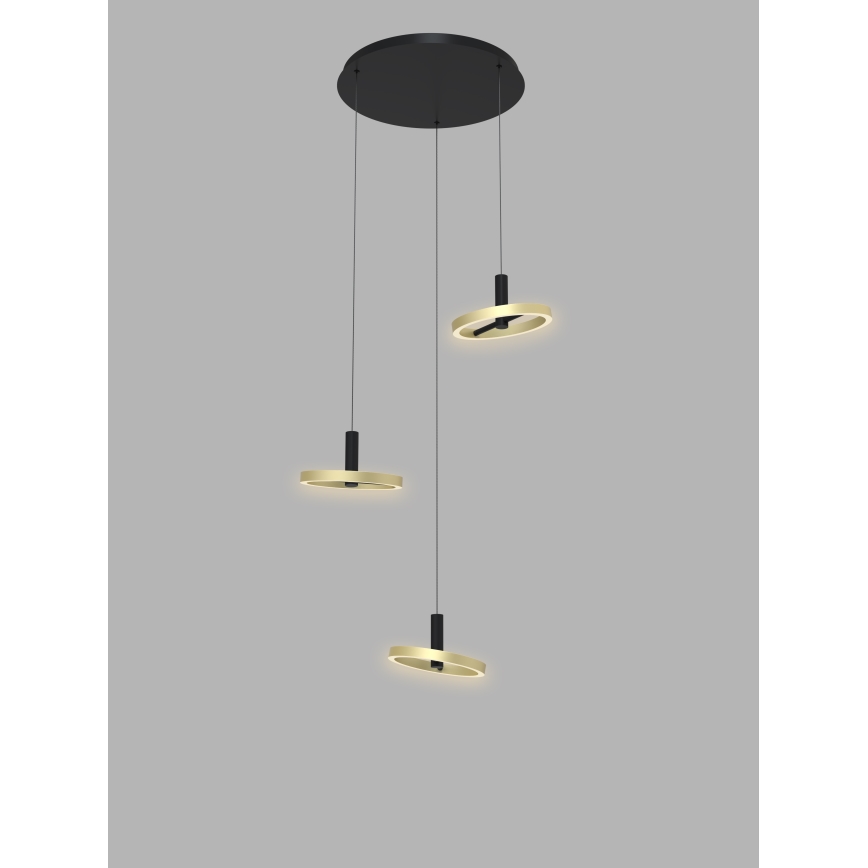 Wofi 5016-304 - Світлодіодна підвісна люстра з регулюванням яскравості BREST LED/26W/230V чорний/золотий