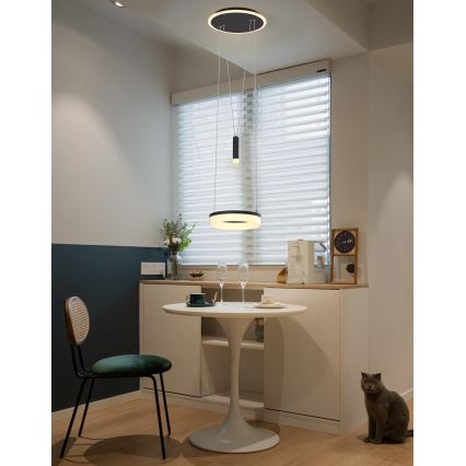 Wofi 6054-302 - Светодиодная регулируемая люстра на тросе JESSE LED/15,5W/230V черная