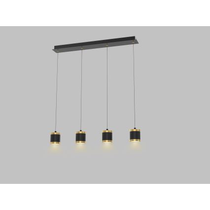 Wofi 7003-404 - LED-люстра з можливістю затемнення на тросі TOULOUSE 4xLED/8,5W/230V чорна/золота