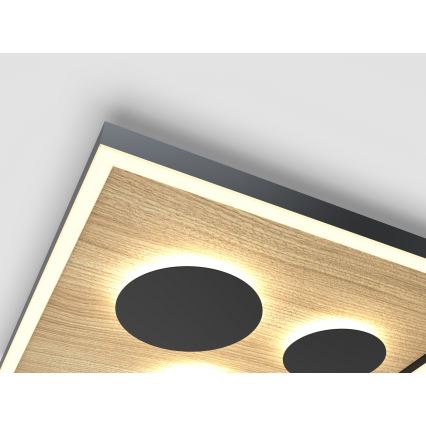 Wofi 9012-306L - Светодиодный регулируемый потолочный светильник DIJON LED/40W/230V