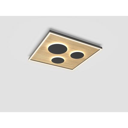 Wofi 9012-306L - Светодиодный потолочный светильник с регулированием яркости DIJON LED/40W/230V