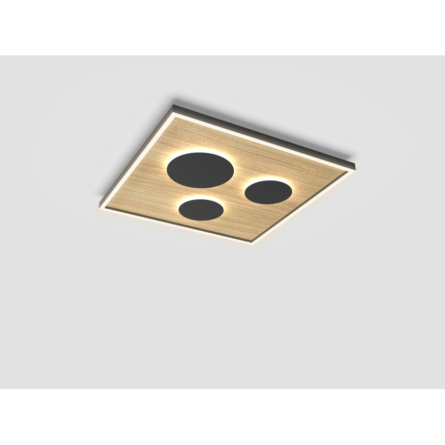 Wofi 9012-306L - Светодиодный потолочный светильник с регулированием яркости DIJON LED/40W/230V