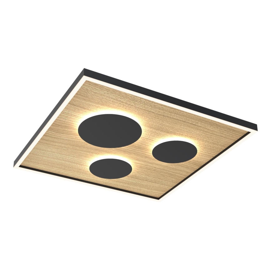 Wofi 9012-306L - Светодиодный регулируемый потолочный светильник DIJON LED/40W/230V